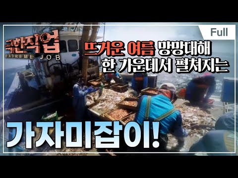 [Full] 극한직업 - 무더운 여름! 뜨거운 현장, 가자미잡이와 연잎밥,추어탕