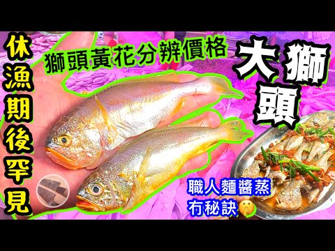 休漁期後🌟遇上必買大獅頭🌟嫩滑鮮甜🥇麵醬蒸冇秘訣👋🏻🤫喜歡影片請點讚/留言/分享💞中英文字幕🍀