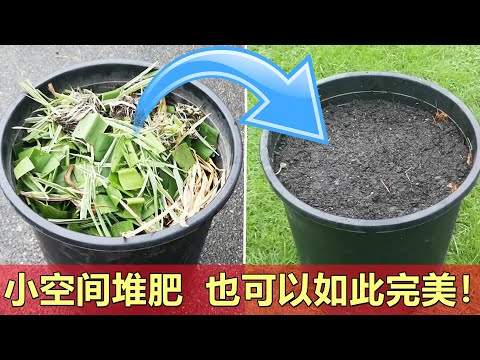 花盆也能堆出完美的肥 | 科学堆肥原理 How to make perfect pot compost