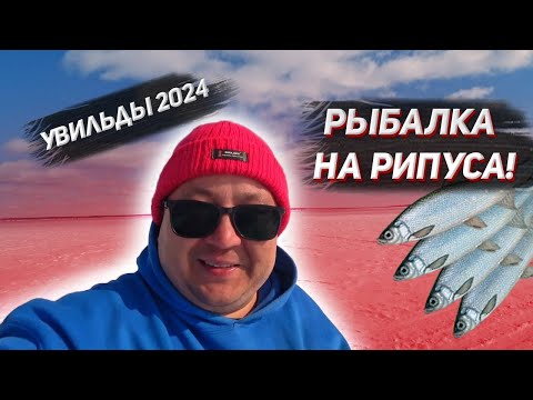 ИСКАЛИ МЕДЬ, А НАШЛИ ЗОЛОТО! РЫБАЛКА НА РИПУСА. ЦАРСКАЯ РЫБА, ПОЙМАНА.