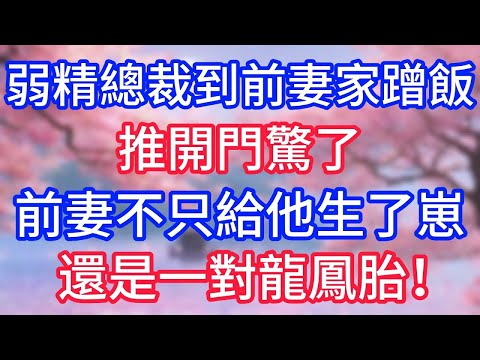 弱精總裁到前妻家蹭飯，推開門驚了，前妻不只給他生了崽，還是一對龍鳳胎！
