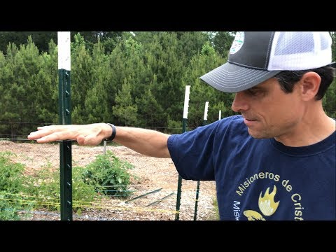 Cheap, Fast, & Easy DIY Garden Deer Fence that WORKS