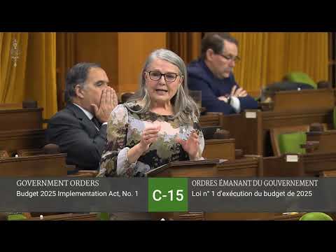 Budget 2025: Carney before Canada