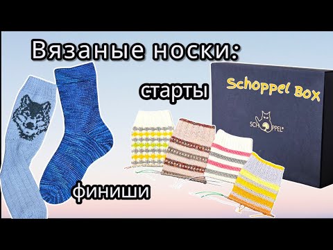 ВЛОГ 33/2025Г /Сходим в кафе #모이드 , в магазин #다이소 , мини парк 대머리공원 #knitting #vlog  #socks 