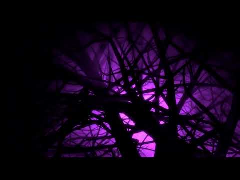 Purple Eerie Fog Trees Halloween 4K Motion Background Wallpaper Screen Saver