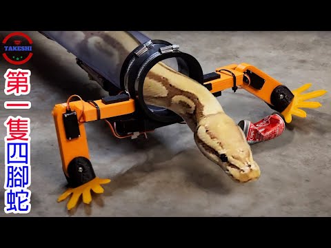 [生物放大鏡] 學界震驚!史上第一隻四足蛇! | 蛇的起源之爭 | 現代蛇其實也有"腳"