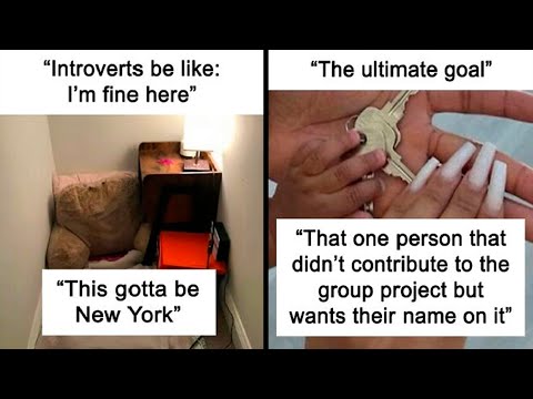 When the Comments Are Funnier Than the Actual Post | HahaHub