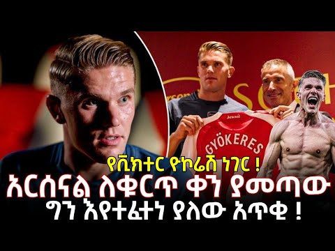 የቪክተር ዮኮሬሽ ነገር ! አርሰናል ለቁርጥ ቀን ያመጣው ግን እየተፈተነ ያለው አጥቂ !