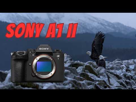 How good is Sony’s New AI Autofocus on the Sony A1 II for Wildlife Photography? Camera Review !