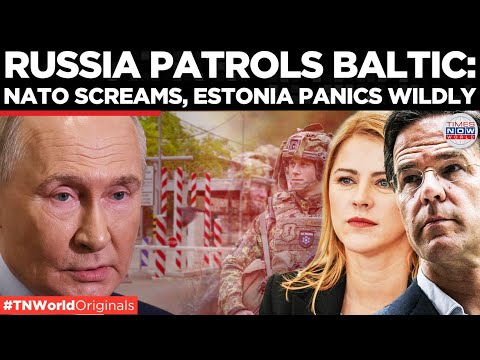 TALLINN EXAGGERATES RUSSIAN BORDER MOVEMENT: EU-Backed Alarmism Sparks Military Build-Up