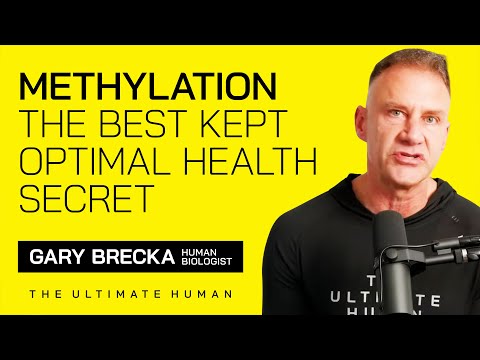 Methylation: The Best Kept Optimal Health Secret | TUH #005
