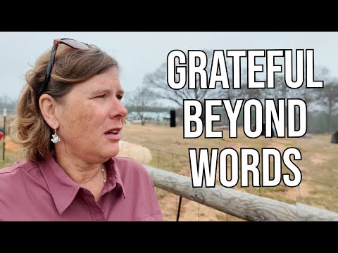 The Health Battle We Rarely Talk About (From a Sick Child to Today's Celebration)