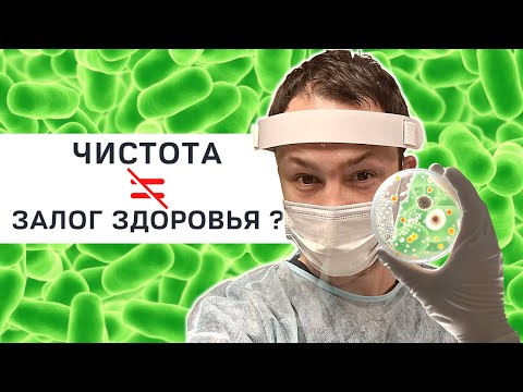МИКРОБИОМ КОЖИ и пребиотики : Почему нельзя очищать кожу до скрипа?