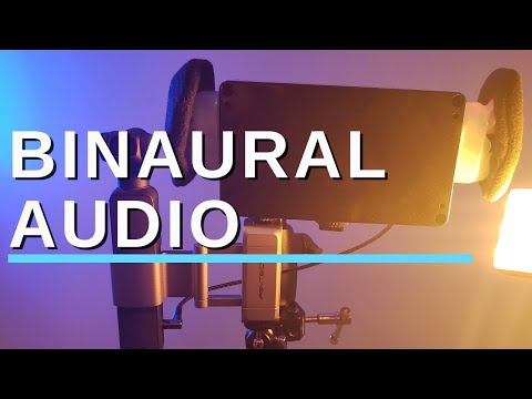 Binaural Microphone : Build your own for $100