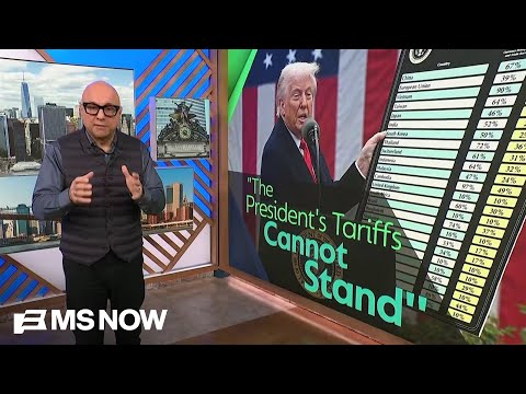 Striking down Trump’s tariffs proved the Supreme Court ‘can still set boundaries’