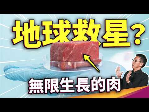人類未來的主食是細菌？無限生長的細胞培養肉將成真？該面對現實了！20年後我們到底吃什麼？