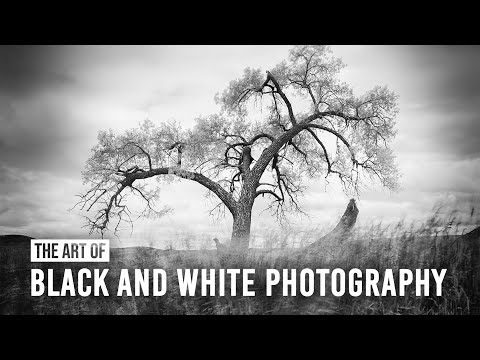 The Art of Black and White Photography