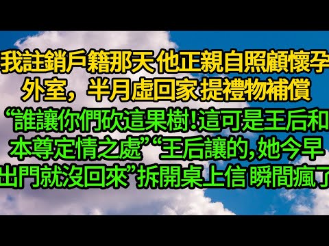 我註銷戶籍那天 他正親自照顧懷孕外室，半月虛回家 提禮物補償“誰讓你們砍這果樹！這可是王后和本尊定情之處”“王后讓的，她今早出門就沒回來”拆開桌上信 瞬間瘋了