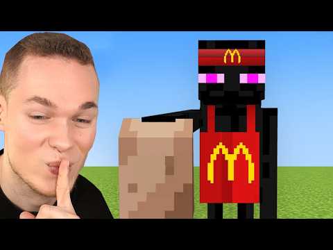 Wenn MINECRAFT MOBS BERUFE hätten...