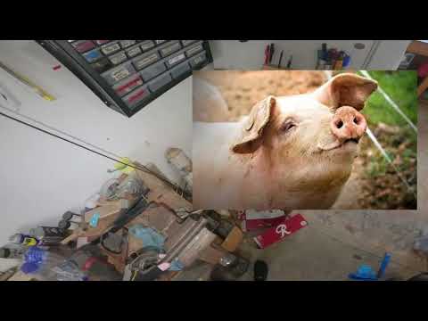 Vlog 2 - Diesel Heater