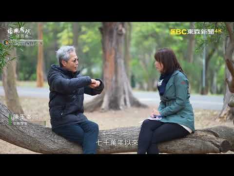 福爾摩沙守護者：山林篇 《聚焦全世界》第50期 (中英文字幕) ｜舒夢蘭｜Guardians of Formosa : Mountain Forest