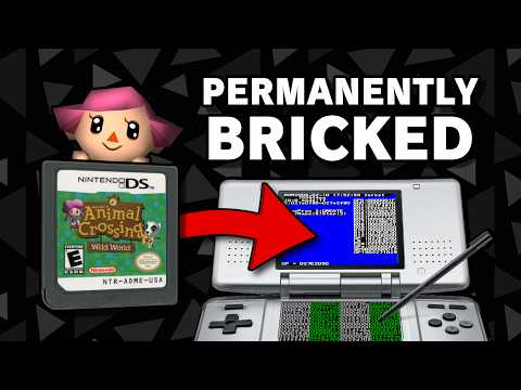 The Quirks of Wild World