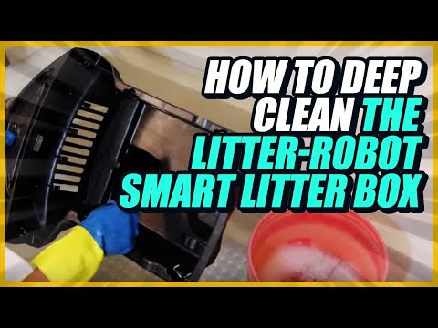 How to Deep Clean the Litter-Robot Smart Litter Box Indoors