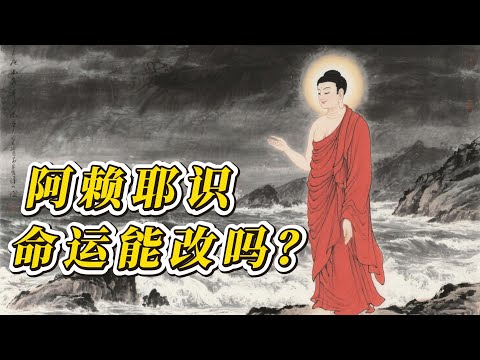 阿赖耶识到底是什么？轮回真的存在吗？决定你轮回的力量：你的人生“存档”