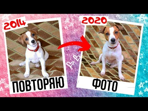 ДЕНЬ РОЖДЕНИЯ СОБАКИ - ЛИЗЕ 6 ЛЕТ | ПОВТОРЯЮ СТАРЫЕ ФОТОГРАФИИ СВОЕЙ СОБАКИ