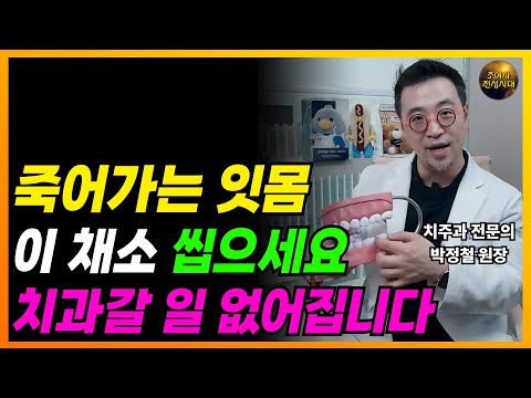 🟢죽어가는 잇몸 살리는 채소!! 이걸 씹으세요!! 병원갈 일 없어집니다!! (박정철 원장)