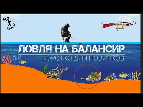 Balance beam, perch, pike perch, and pike on a balance beam. Briefly about balance beam fishing f...