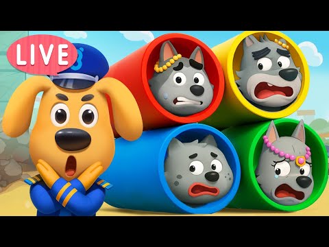 🔴LIVE | Police Chase Adventure | Useful Story | Cartoon | Safety Rules for Kids | Sheriff Labrador