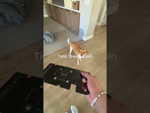 Can You Make A GPU More Valuable?  #custompc #money #techtok