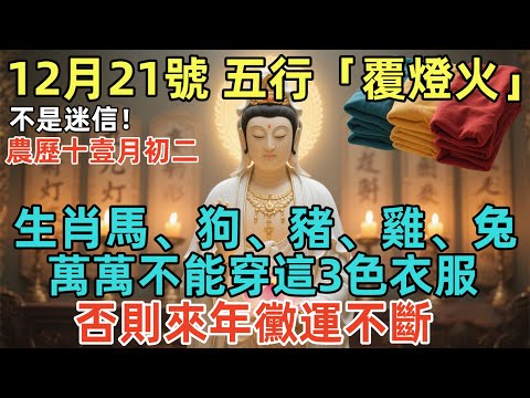 不是迷信！12月21號，農歷十壹月初二，五行「覆燈火」，生肖馬、狗、豬、雞、兔，萬萬不能穿這3色衣服，否則來年黴運不斷！家裏有壹個的千萬要小心！#佛學 #佛淨 #佛陀 #佛法 #佛教 #修行