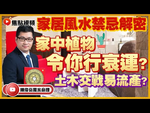 你家的植物令你行衰運？ 風水禁忌：2022年不宜放置植物的家居位置！ #風水 #風水教學 #種植物 #風水禁忌 《陳俊燊風水命理》 EP64 20220523
