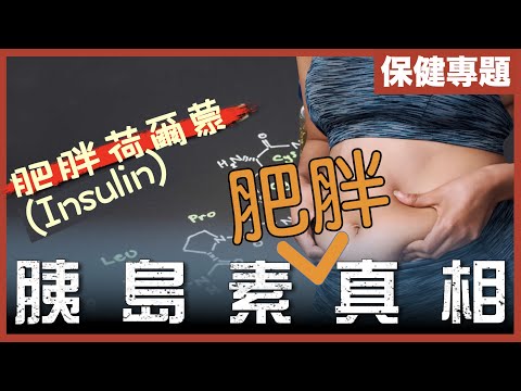 [不是陰謀論]肥胖荷爾蒙－胰島素｜點解有人天生食極唔肥，有人飲水都肥？解構人體荷爾蒙運作｜肥底點減肥？｜中文字幕