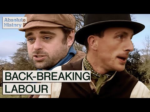 We Spent A Year Working As Victorian Farmers