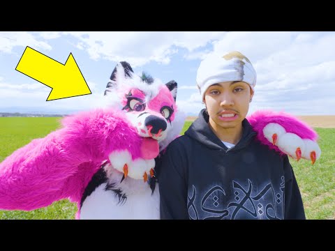 Surviving 24 Hours with A Furry...