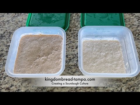 A Professional Baker Teaches How to Easily Create a Sourdough Culture