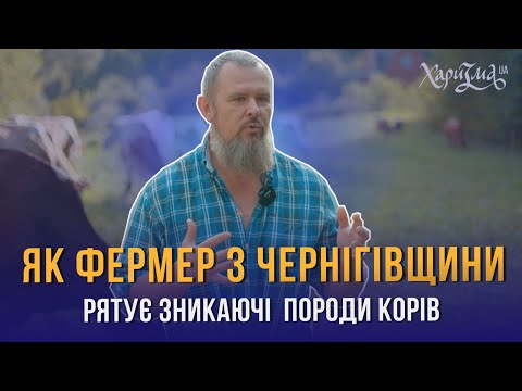Як фермер з Чернігівщини рятує зникаючі українські породи корів? МИХАЙЛО ТРАВЕЦЬКИЙ. Велесова ферма