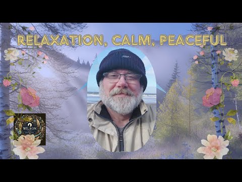 Meadows to dreams a cinematic escape. relaxation, calm