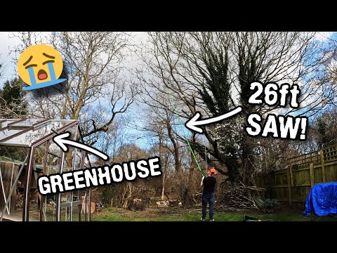 I nearly DESTROYED our new greenhouse while pruning big trees!!