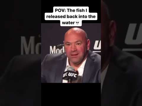 🐠💀#fishing #comedy #ufc #joerogan