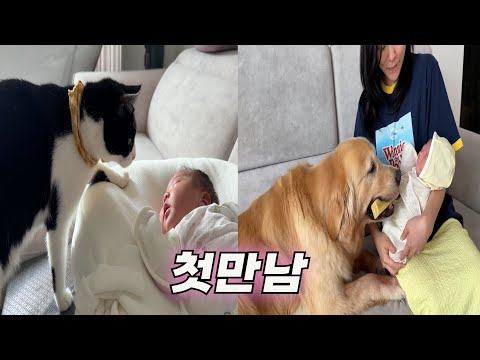 The True Feelings of a Puppy and a Cat Seeing a Baby for the First Time (feat. The World's Warmes...