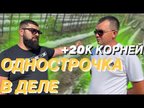 Я ПЕРЕШЕЛ НА ОДНОСТРОЧКУ/ ПРЕИМУЩЕСТВА И НЕДОСТАТКИ/ 2023/