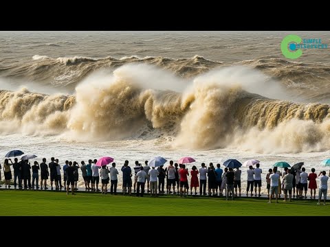 NO SUPERSIZED CONTAINER SHIPS HEADING TO THE U.S — No One Can Believe This Simple Reason