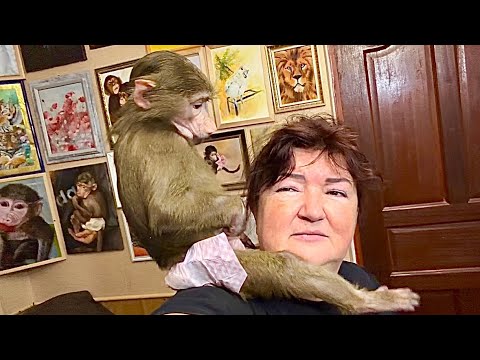 Anfisa is so annoying, no one can hide from her!