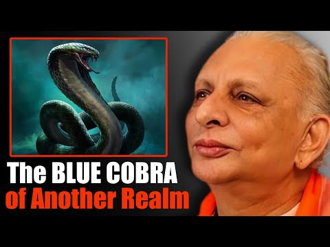 Sri M: Thunder, Fire, and a BLUE SERPENT |  My Himalayan Cave Experience