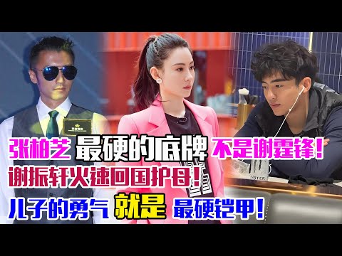 張柏芝最硬的底牌不是謝霆鋒，謝振軒火速回國護母，兒子的勇氣，就是最硬鎧甲！#張柏芝#謝霆鋒#王菲#謝振軒