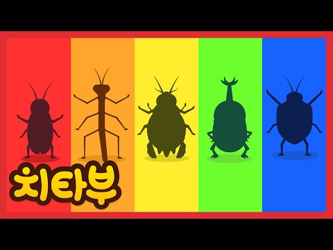 [모음집] 😆내 이름을 맞춰봐! 다양한 곤충 동요 모음 | Insect for kids | 인기동요 | 신나는 동요 | #치타부